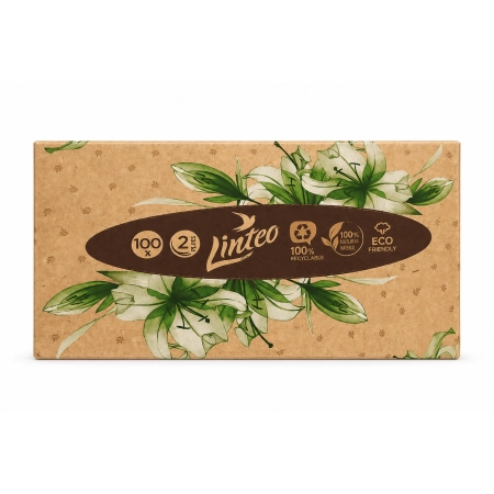 Chusteczki higieniczne Linteo Satin 100 szt. w pudełku