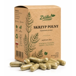 Skrzyp Polny 60 kapsułek Ziółko Skrzyp Polny 60 kapsułek Ziółko